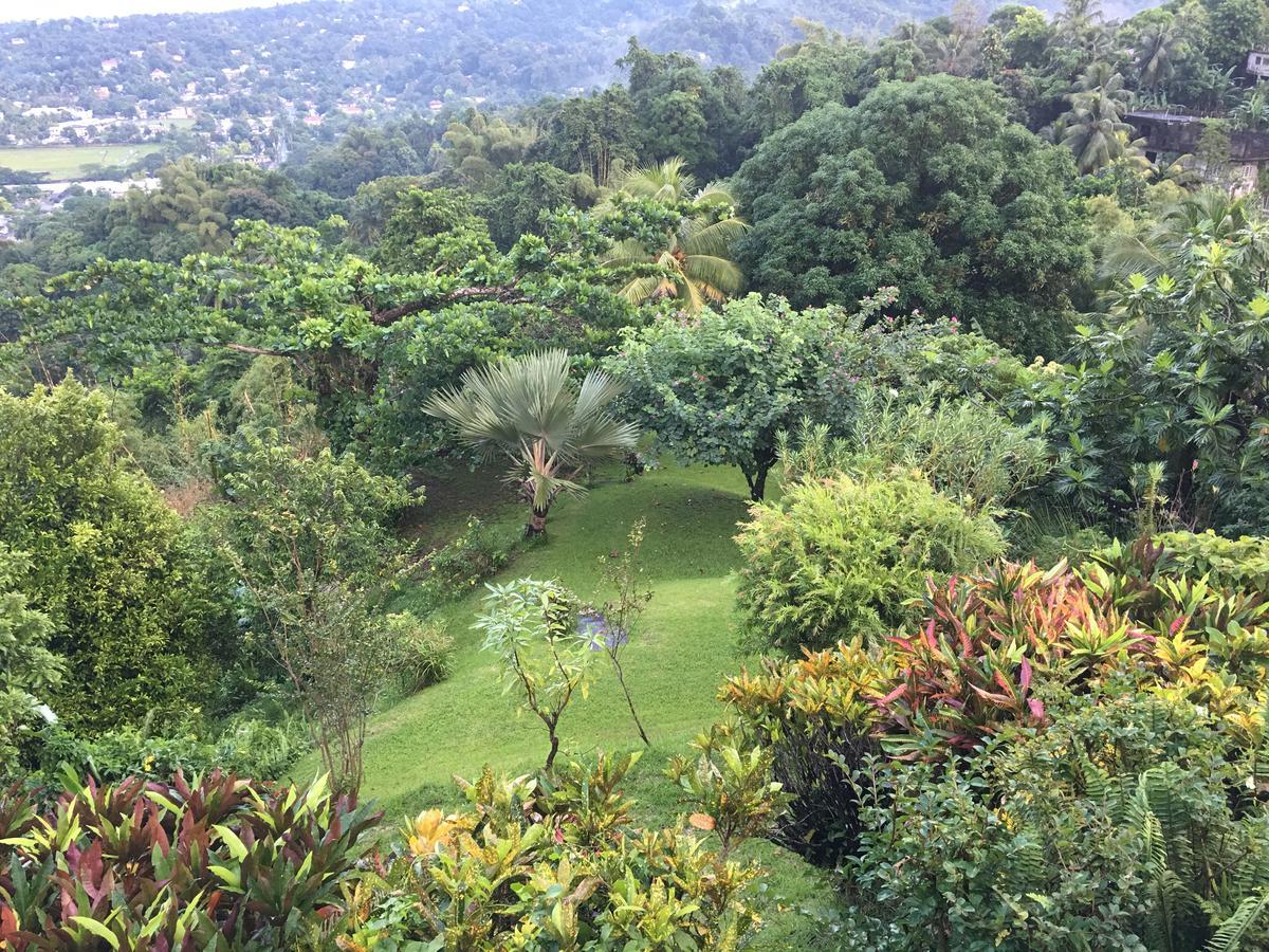 Treetops Villa Port Antonio Exterior foto