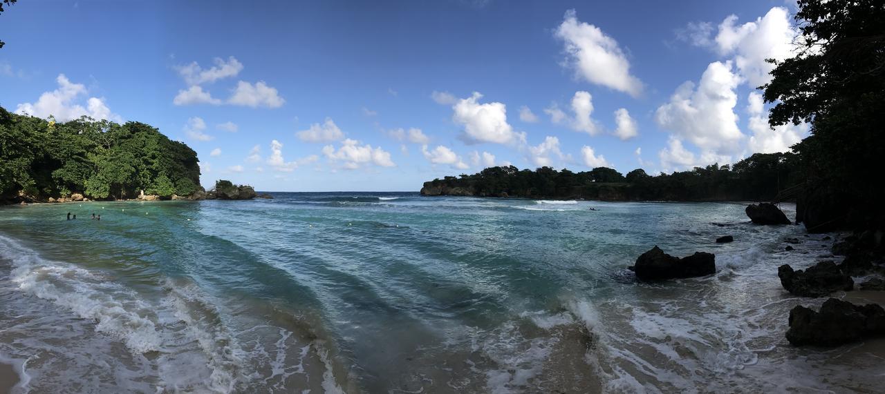 Treetops Villa Port Antonio Exterior foto